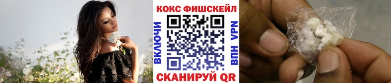 ссылка на мегу tor  маркетплейс состав  Кокаин Fish Scale  Новочебоксарск 