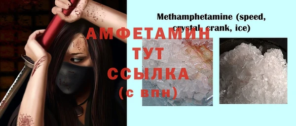 ПСИЛОЦИБИНОВЫЕ ГРИБЫ Бородино