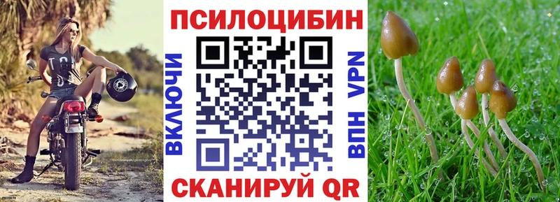 как найти   OMG вход  Псилоцибиновые грибы Magic Shrooms  Новочебоксарск 